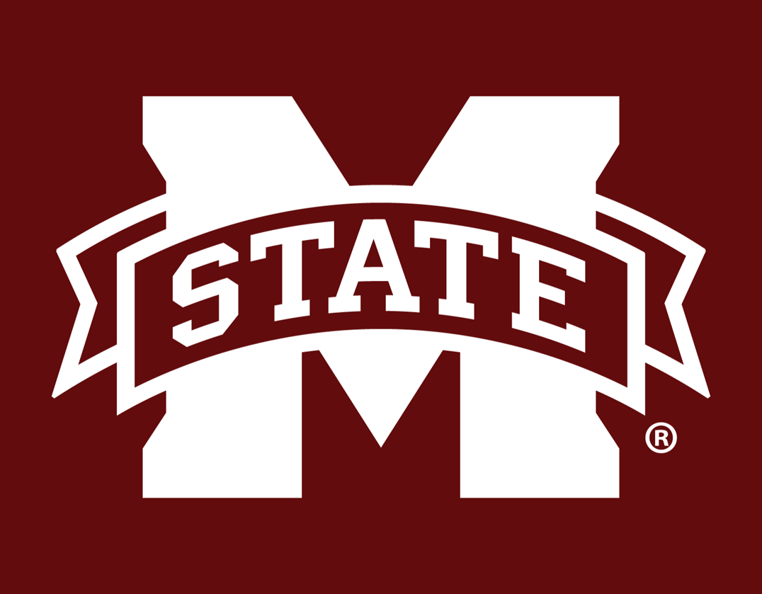 Mississippi State Bulldogs 2009-Pres Alternate Logo v2 iron on transfers for fabric